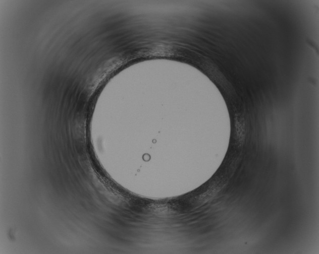 X0000103270534200809261204
