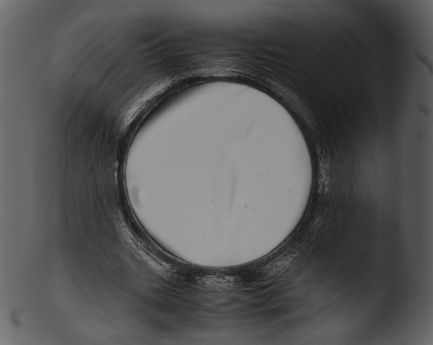 X0000103270535200809261204