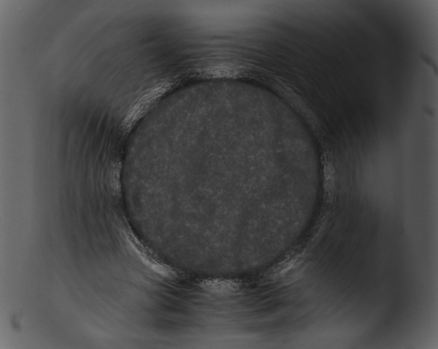 X0000103270537200809261204