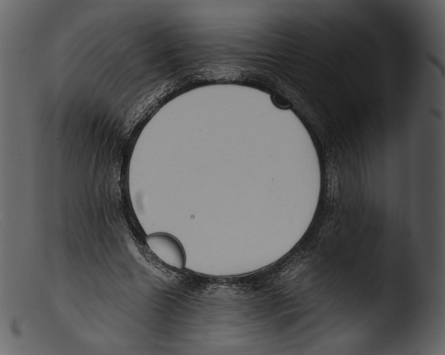 X0000103270538200809261204