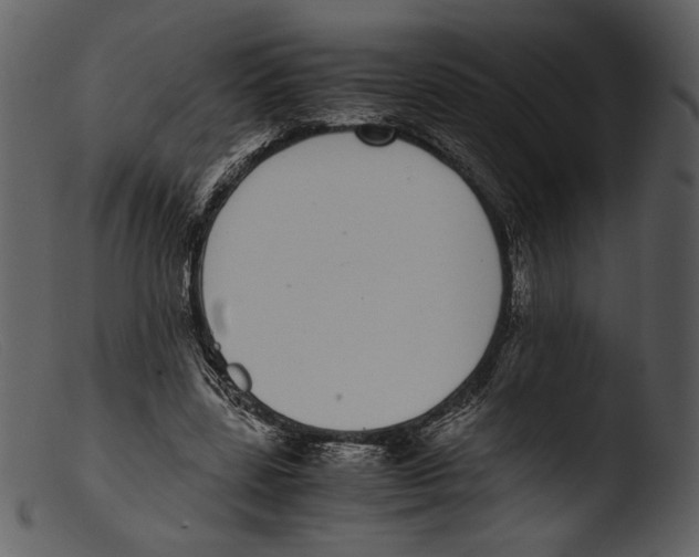 X0000103270539200809261204