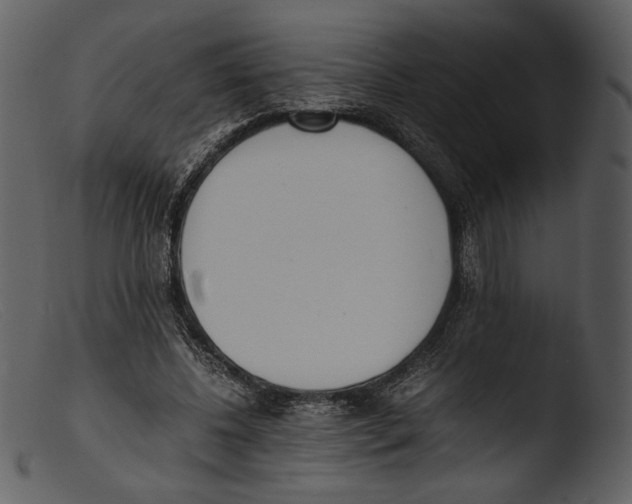 X0000103270540200809261204