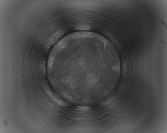 X0000103270541200809261204