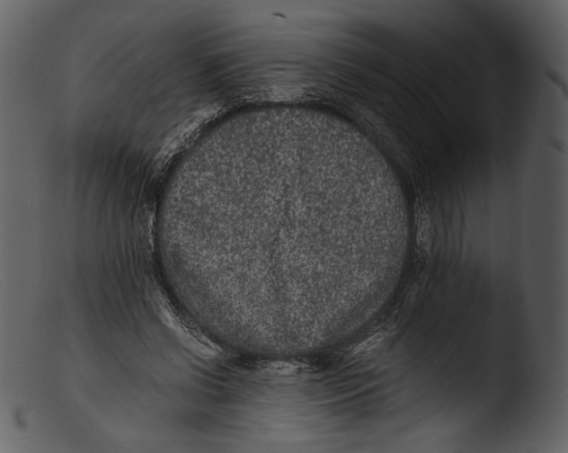 X0000103270542200809261204