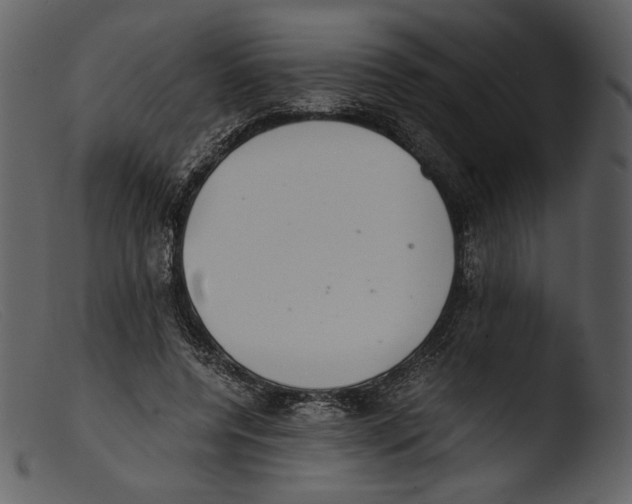 X0000103270544200809261204