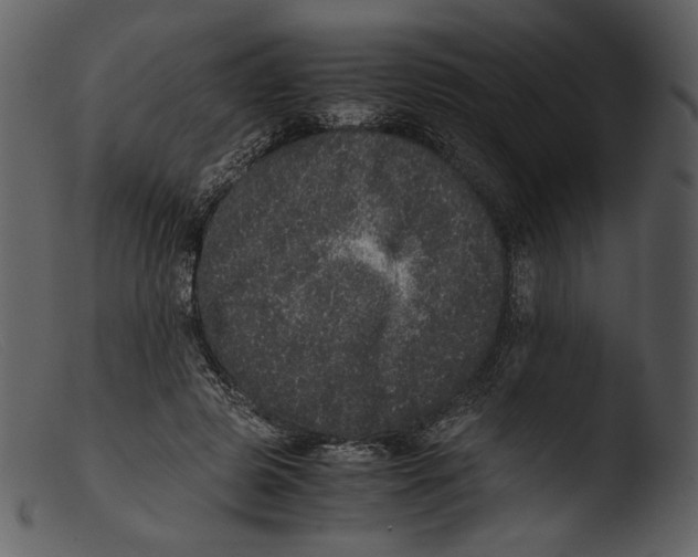 X0000103270545200809261204