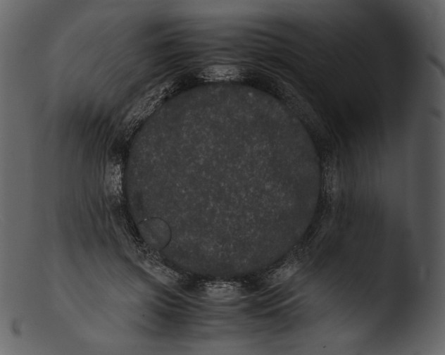 X0000103270549200809261205