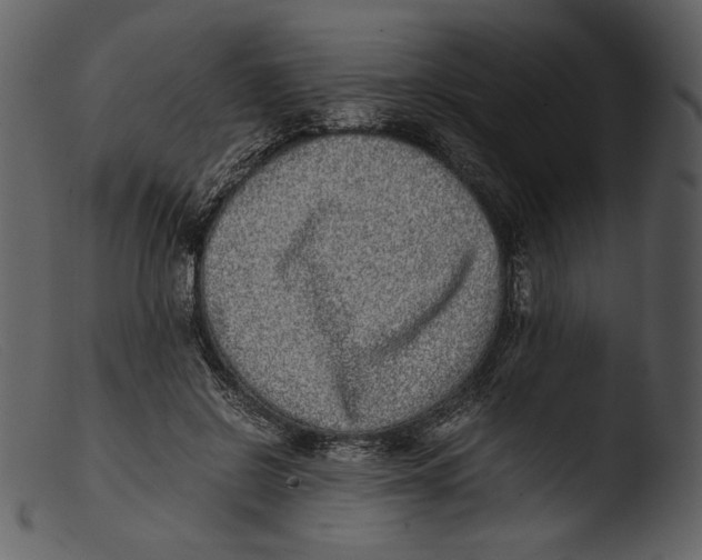 X0000103270550200809261205