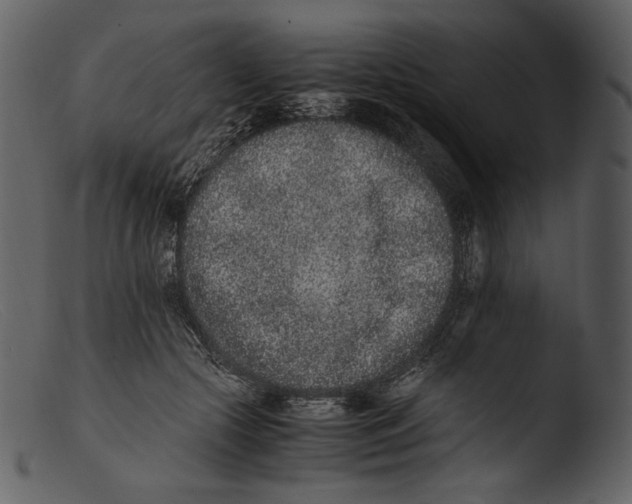 X0000103270553200809261205