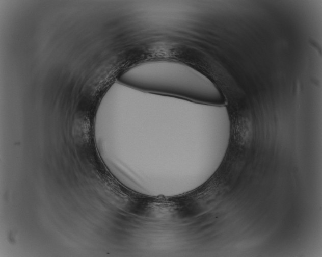X0000103270556200809261205