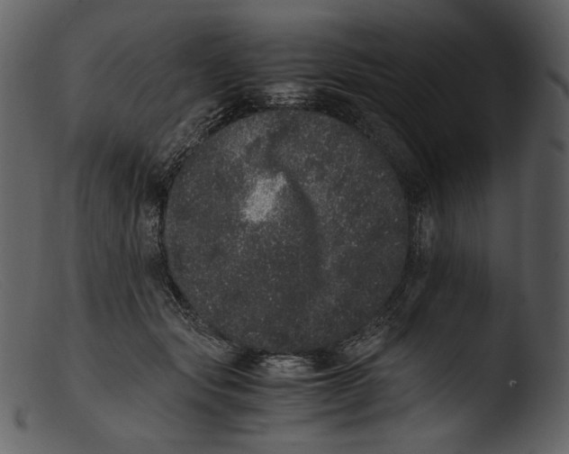 X0000103270557200809261205