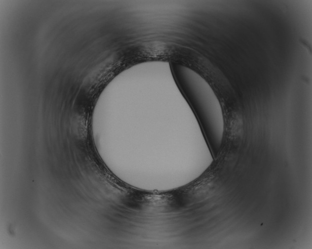 X0000103270558200809261205