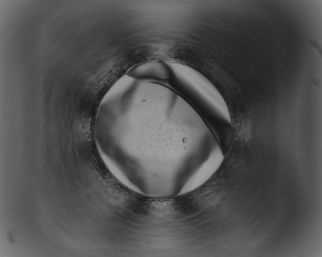 X0000103270560200809261205