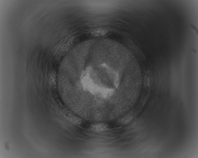 X0000103270561200809261205
