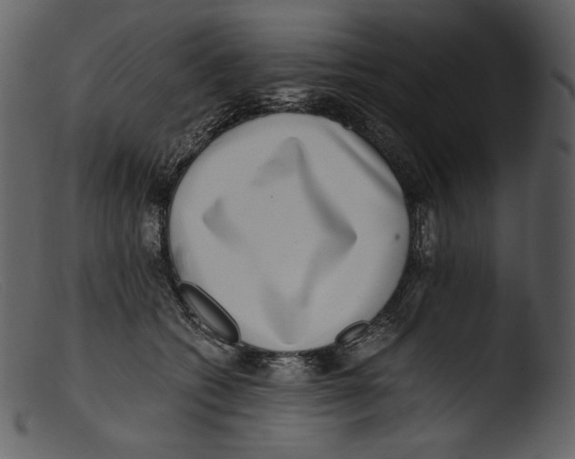 X0000103270562200809261205
