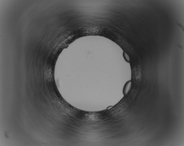 X0000103270564200809261205