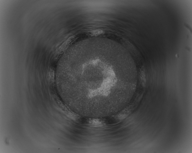 X0000103270565200809261205