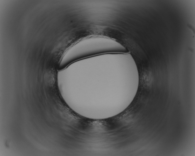 X0000103270566200809261205