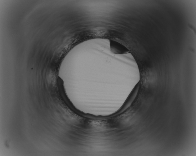 X0000103270568200809261205