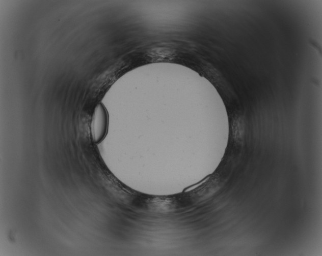 X0000103270570200809261205