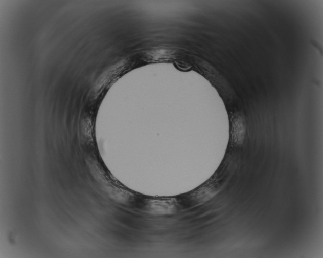X0000103270571200809261205