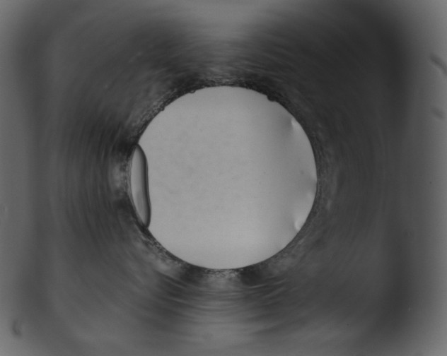 X0000103270576200809261205