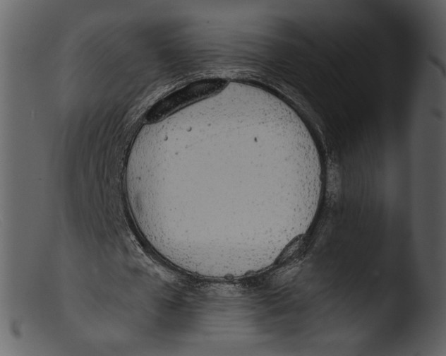 X0000103270577200809261204