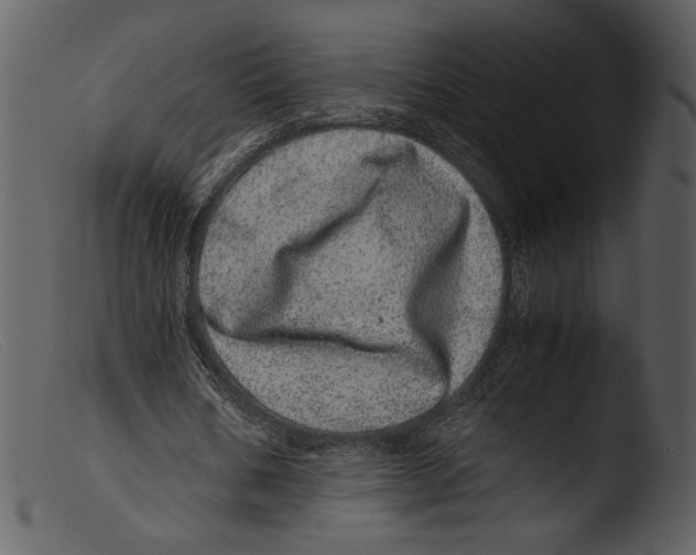 X0000103270578200809261204