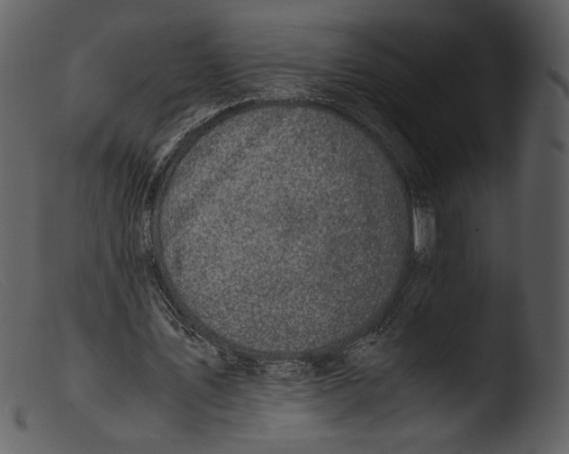 X0000103270579200809261204