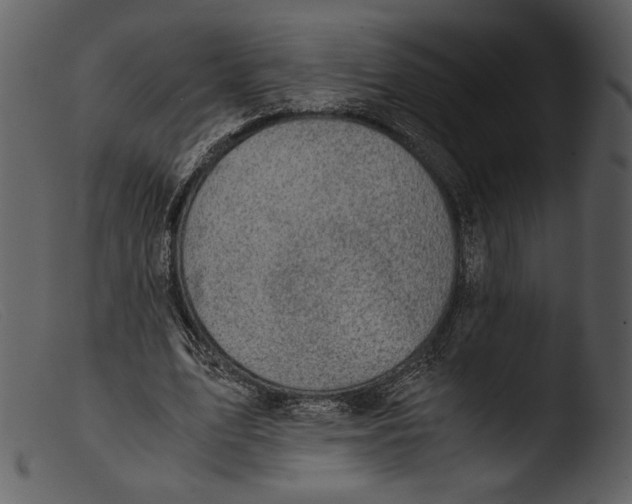 X0000103270583200809261204