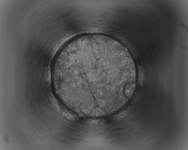 X0000103270584200809261204