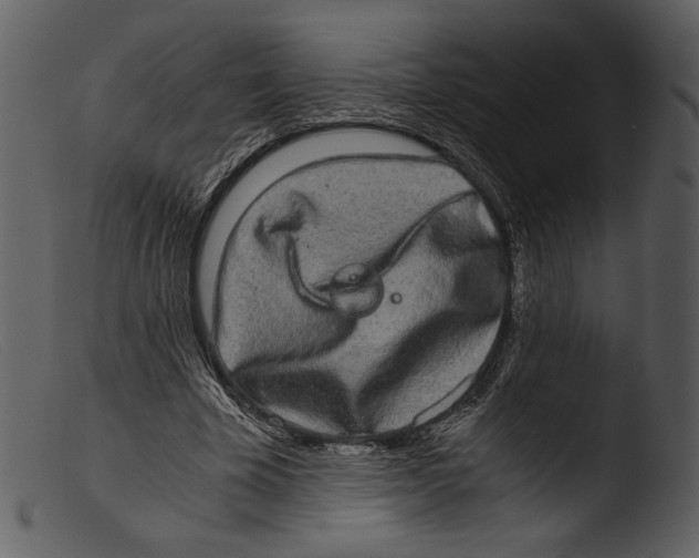 X0000103270585200809261204