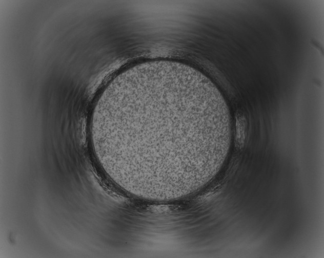 X0000103270588200809261204