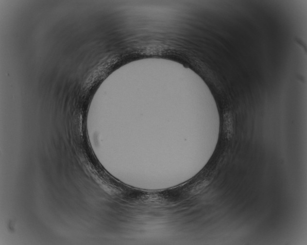 X0000103270589200809261204