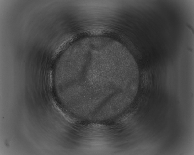 X0000103270590200809261204
