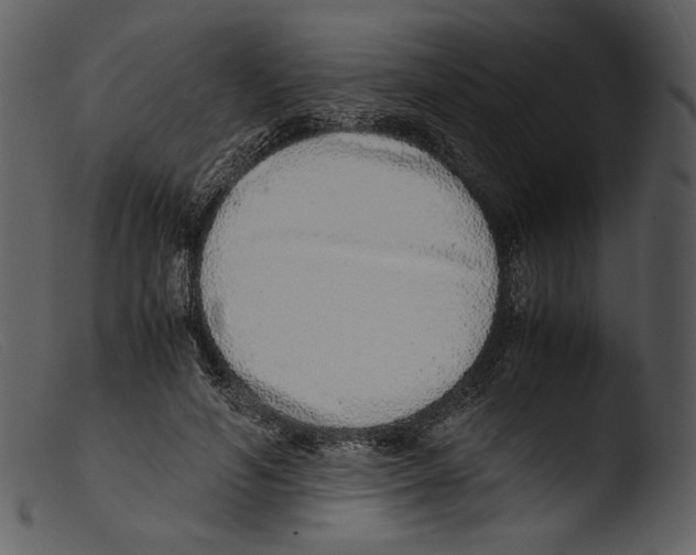 X0000103270594200809261204