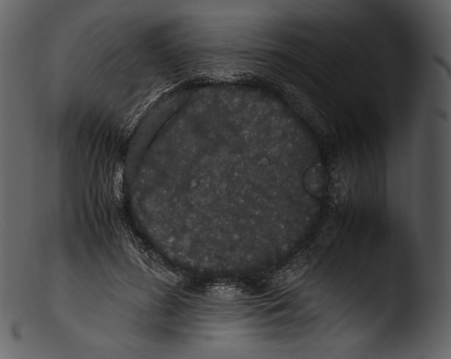 X0000103270596200809261204