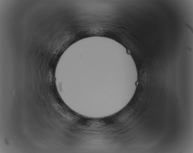 X0000103270597200809261204