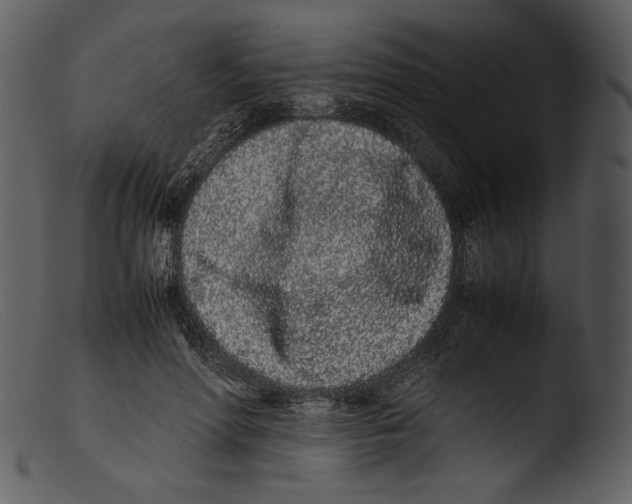 X0000103270598200809261204