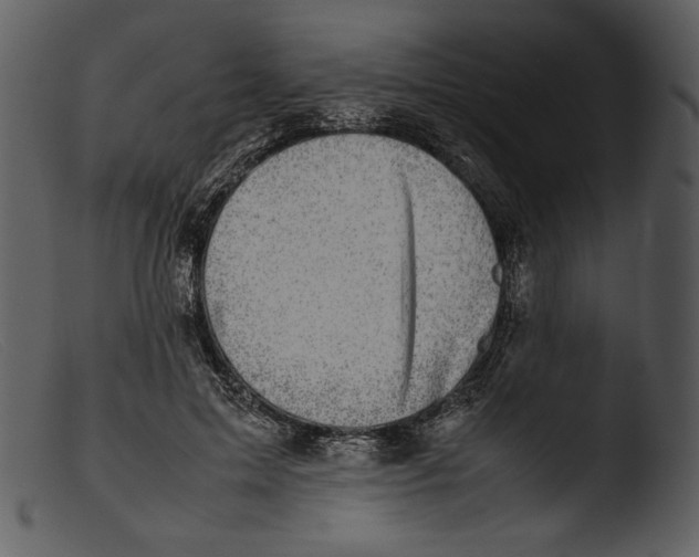 X0000103270599200809261204