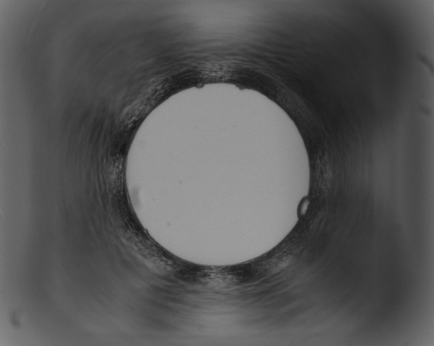 X0000103270601200809261204