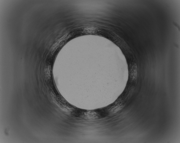 X0000103270603200809261204