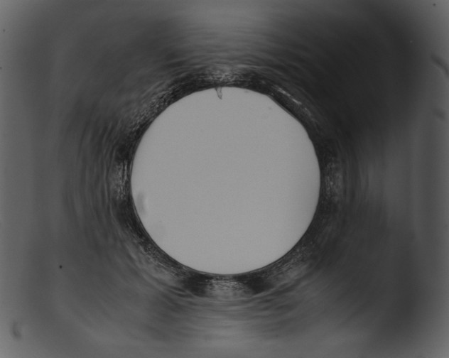 X0000103270605200809261204