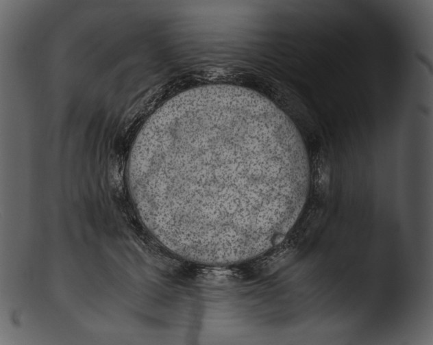 X0000103270607200809261204