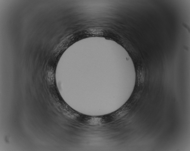 X0000103270609200809261204