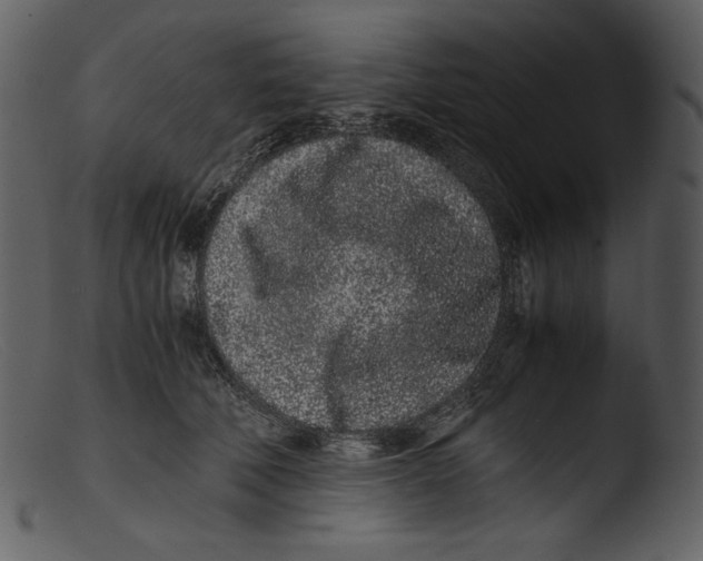 X0000103270610200809261204
