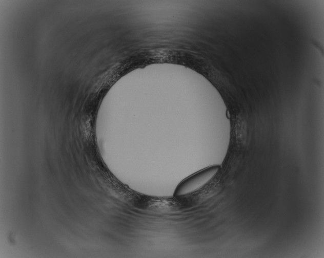 X0000103270611200809261204