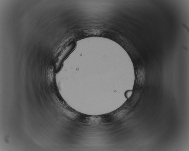 X0000103270612200809261204
