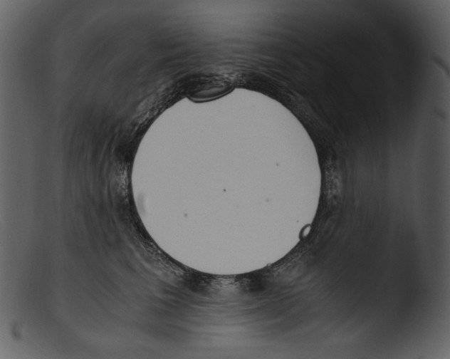 X0000103270613200809261204