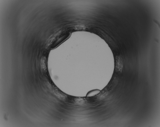X0000103270616200809261203
